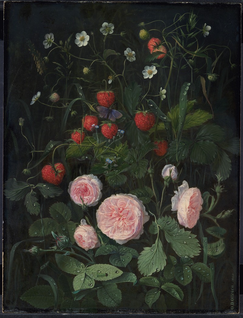Wild strawberry bush surrounded by pink garden roses, small white strawberry buds and leafy green foliage.